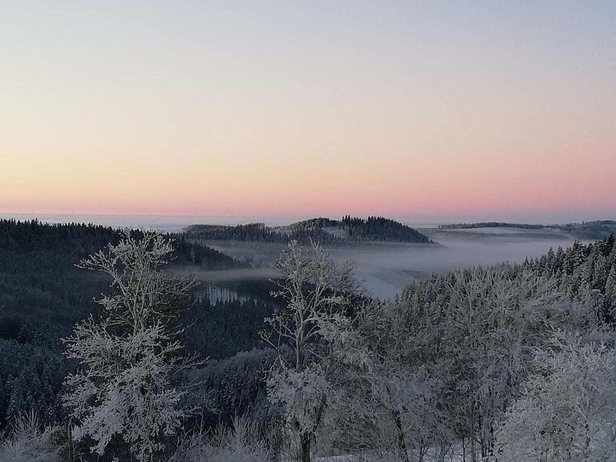 Ferienwohnung Astenrefugio Winterberg Bagian luar foto