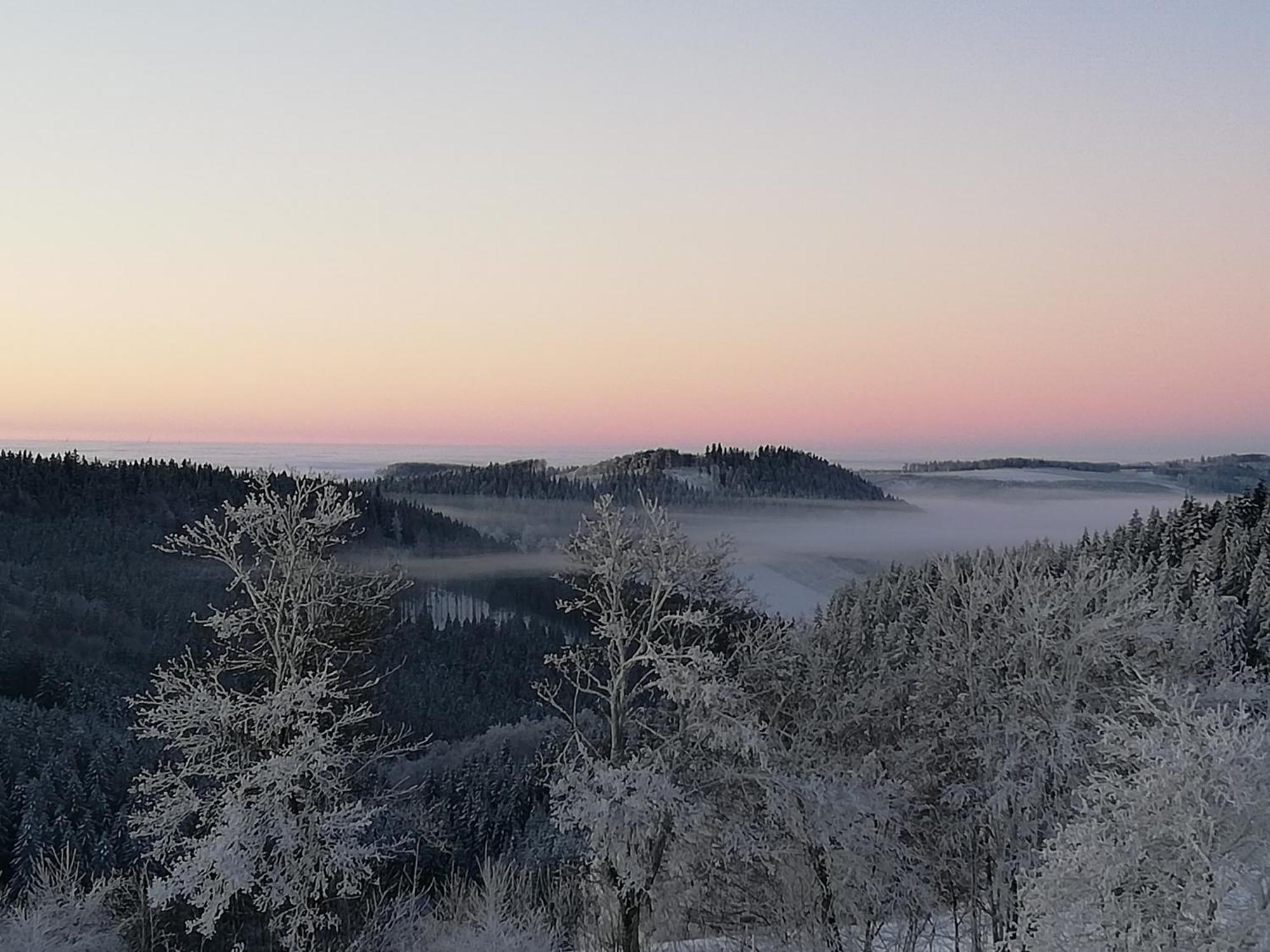 Ferienwohnung Astenrefugio Winterberg Bagian luar foto